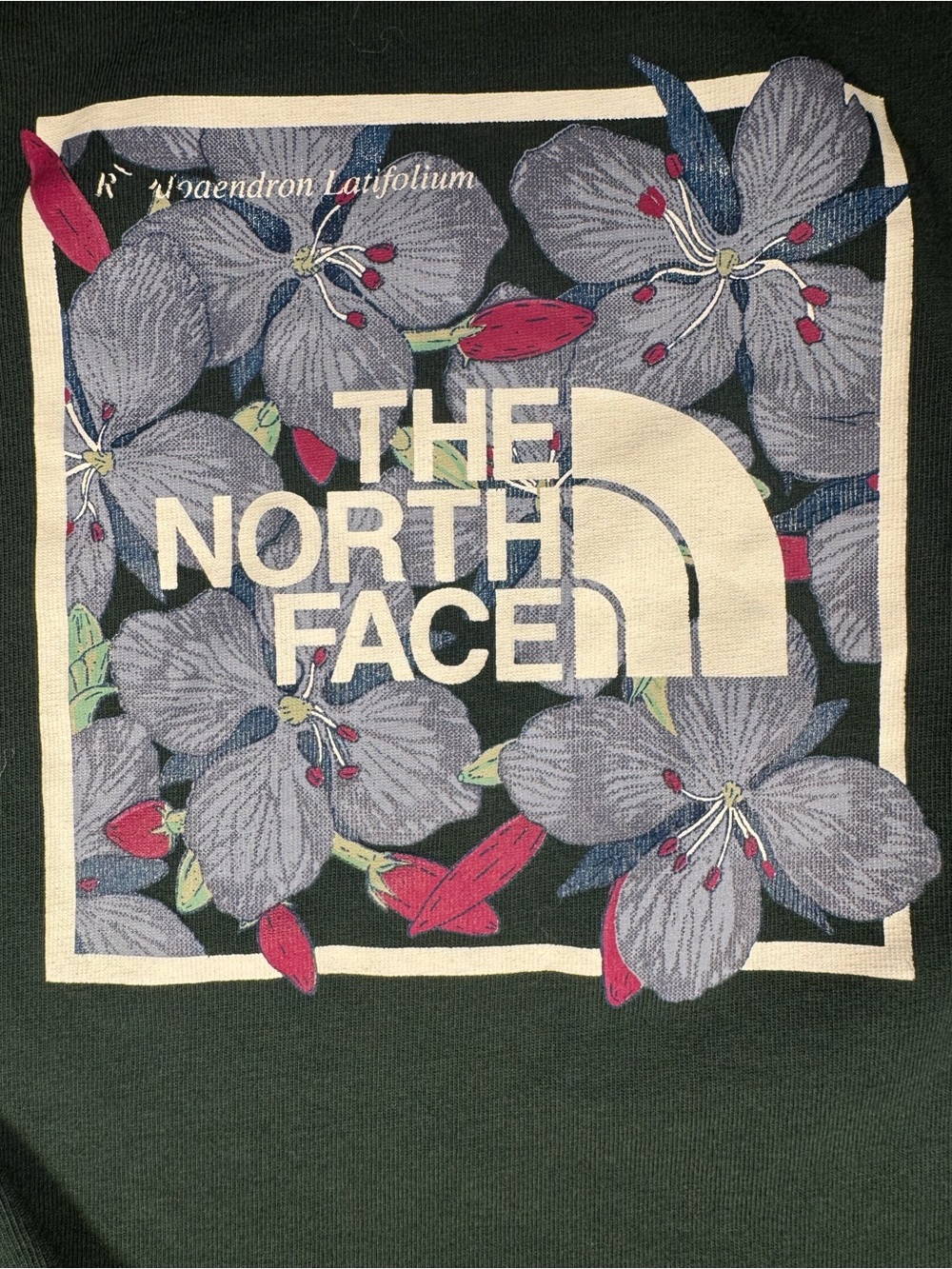 The North Face Floral Logo Tee - Forest Green